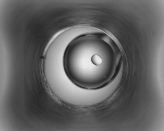 X0000086260956200704122008