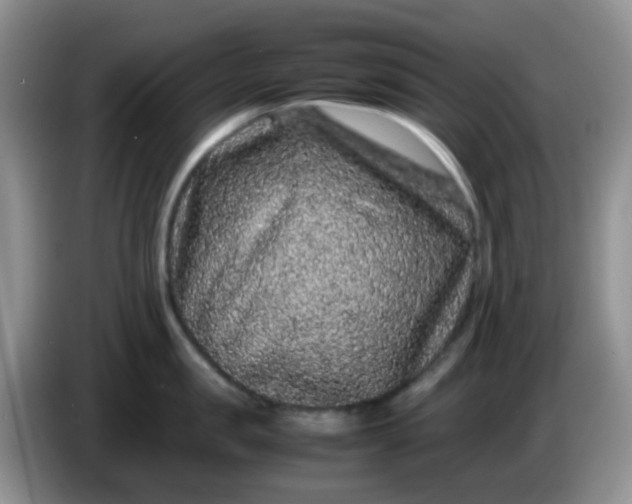 X0000086260957200704122008