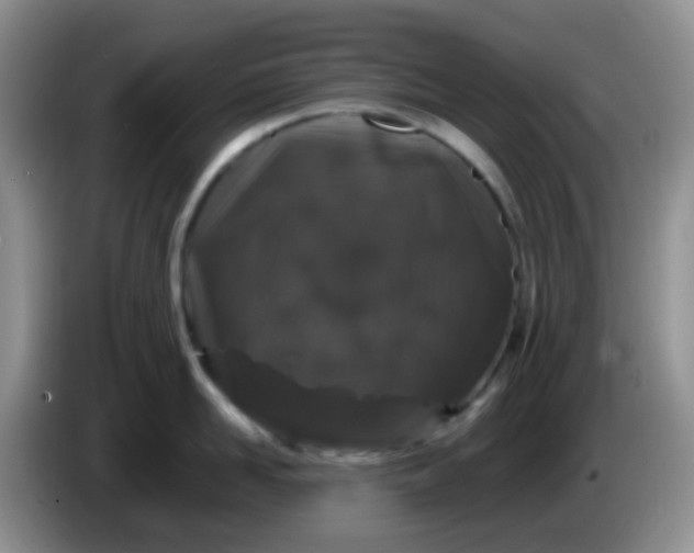 X0000086260958200704122008