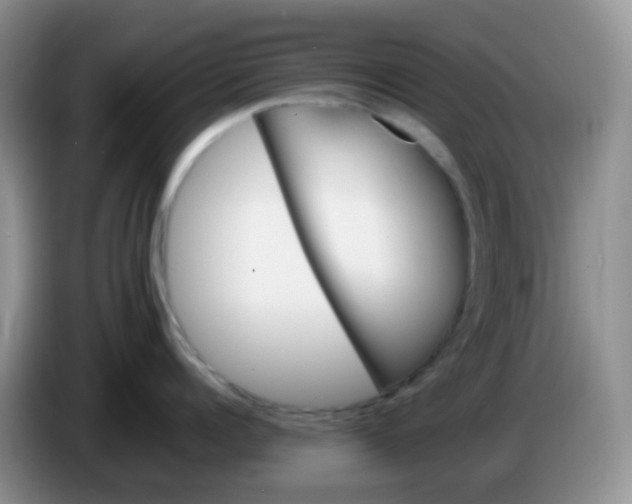 X0000086260960200704122008