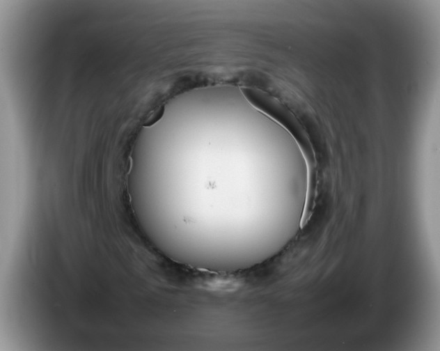 X0000086260961200704122007