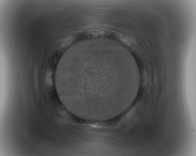 X0000086260962200704122007