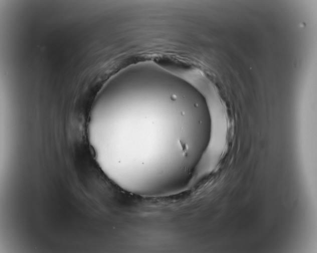 X0000086260963200704122007