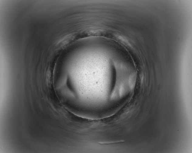 X0000086260964200704122007