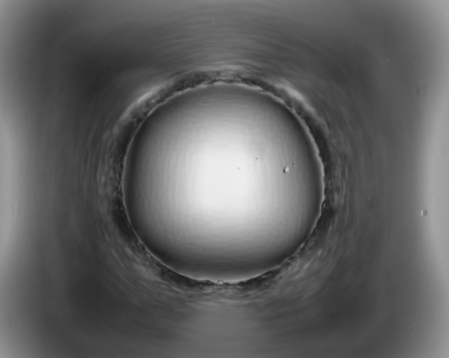 X0000086260967200704122007