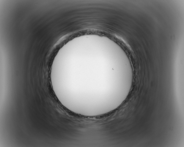 X0000086260968200704122007