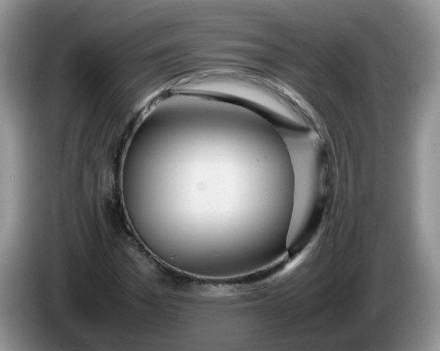 X0000086260969200704122007