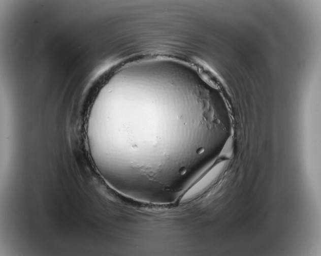X0000086260971200704122007