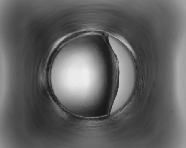 X0000086260972200704122007