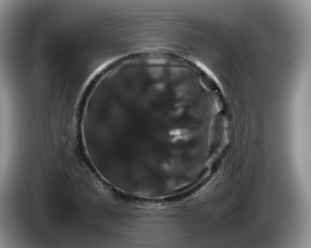 X0000086260975200704122007