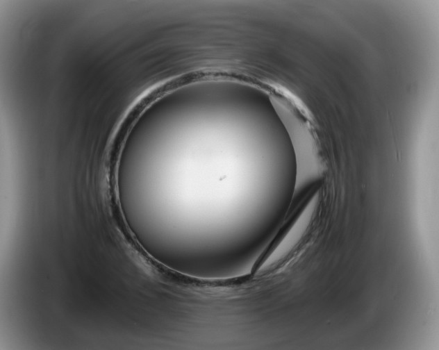 X0000086260976200704122007