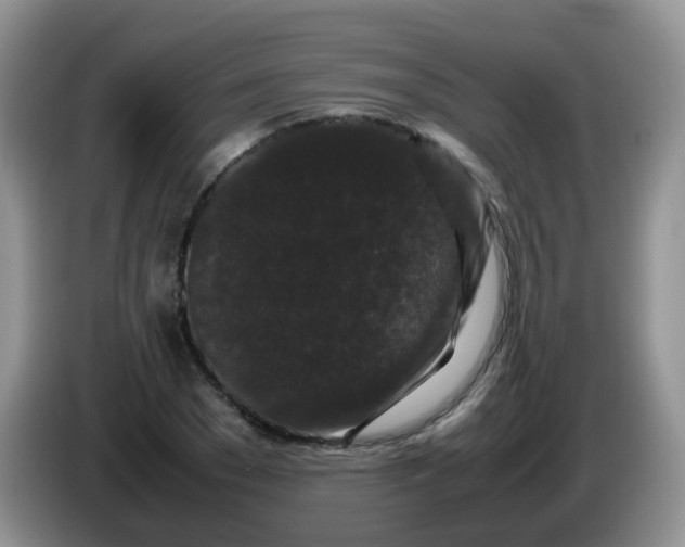 X0000086260977200704122007