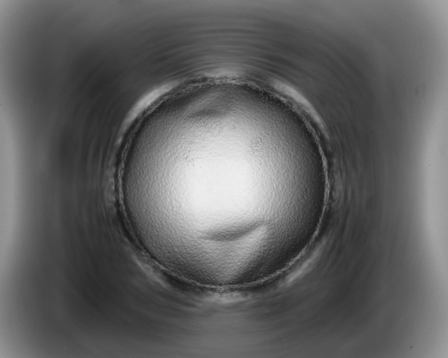 X0000086260978200704122007