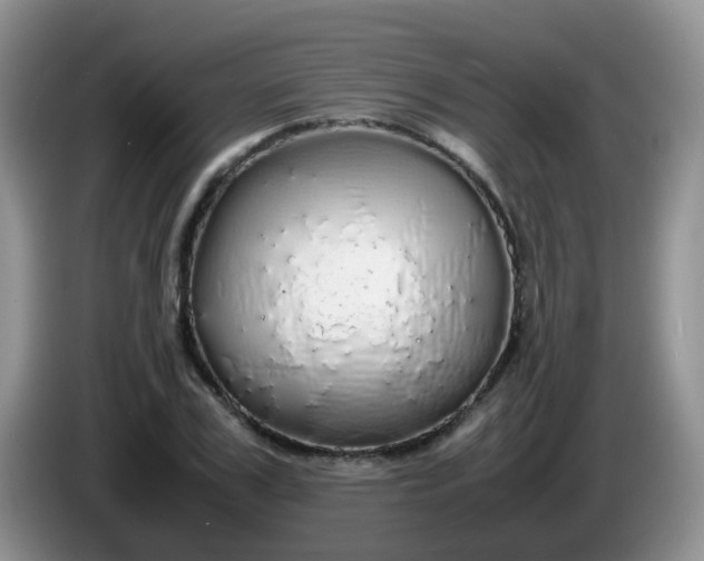 X0000086260979200704122007