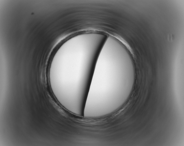X0000086260980200704122007