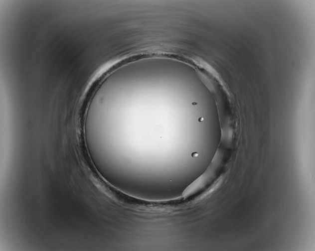 X0000086260981200704122007