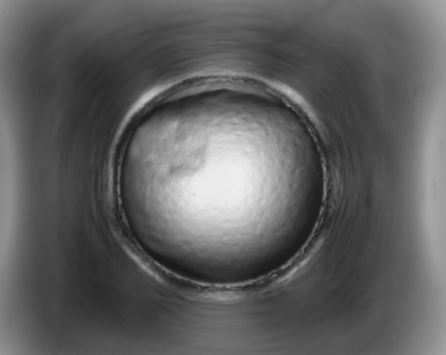 X0000086260982200704122007