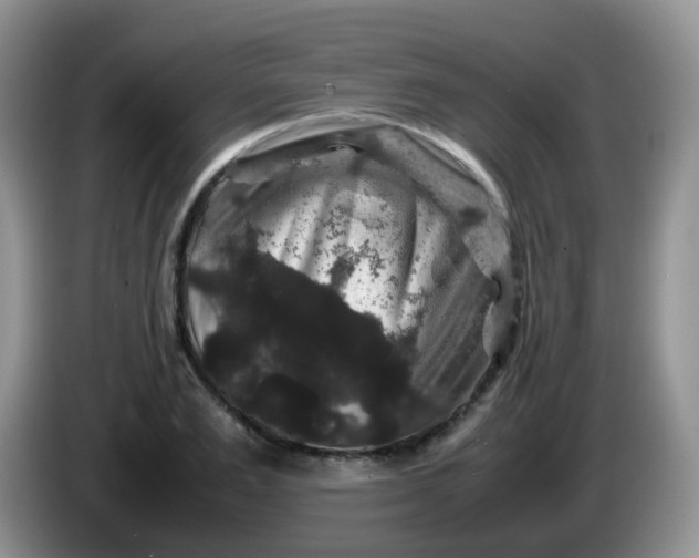 X0000086260983200704122007