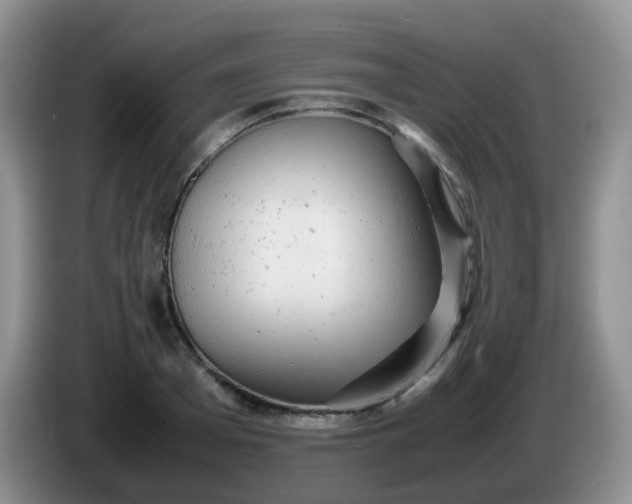 X0000086260985200704122007