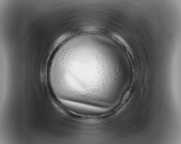 X0000086260986200704122007