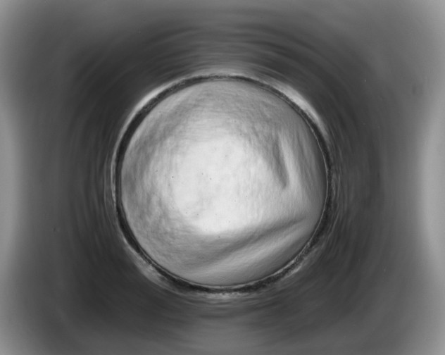 X0000086260988200704122007