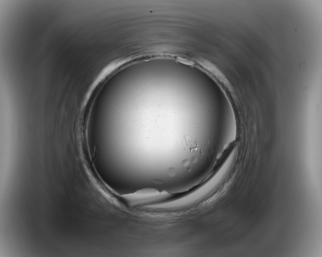 X0000086260989200704122007