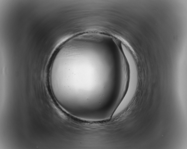 X0000086260991200704122007