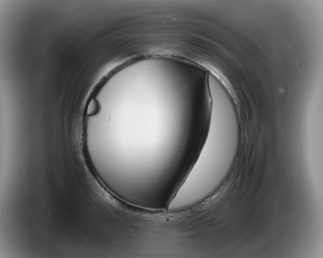 X0000086260992200704122007