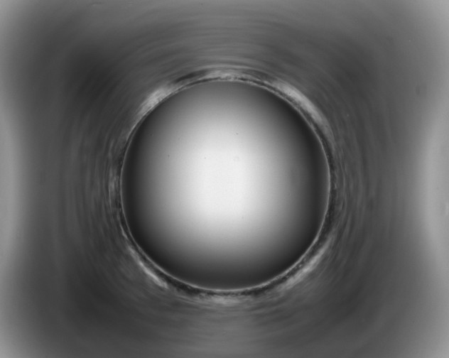 X0000086260993200704122007
