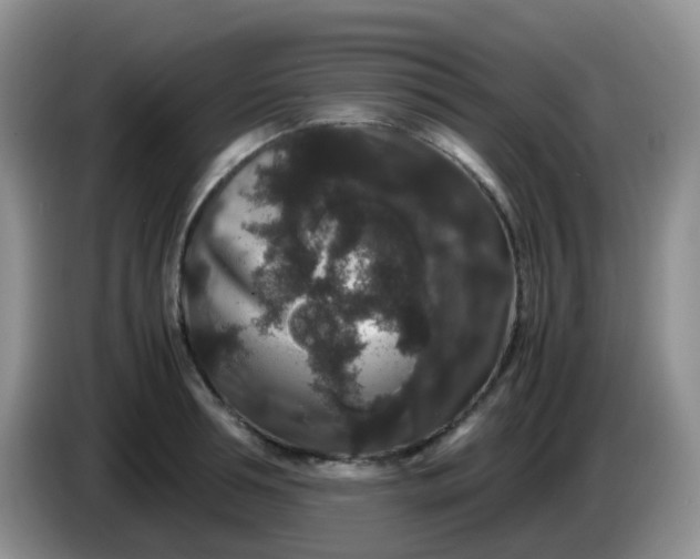 X0000086260994200704122007