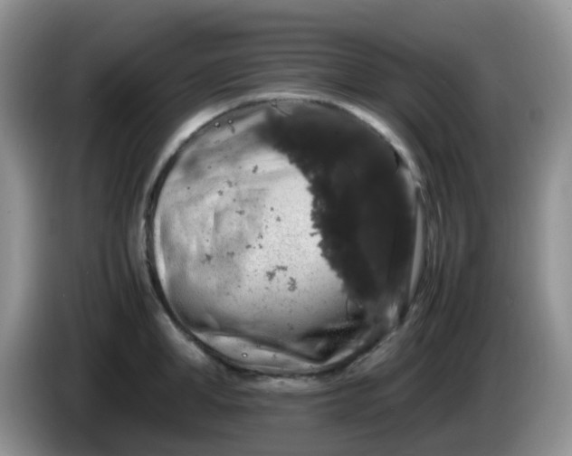 X0000086260998200704122007