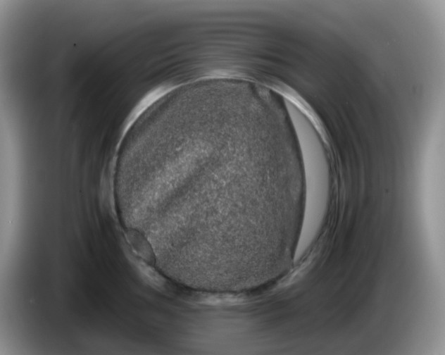 X0000086261002200704122007