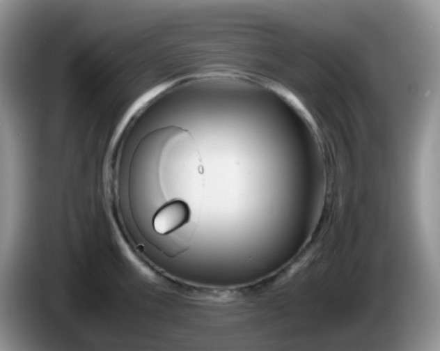 X0000086261003200704122007
