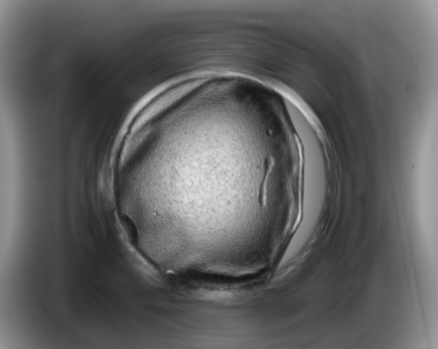 X0000086261004200704122007