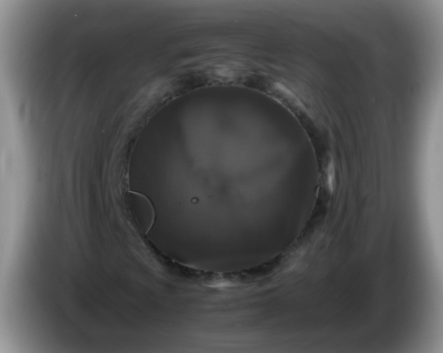 X0000086261009200704122006