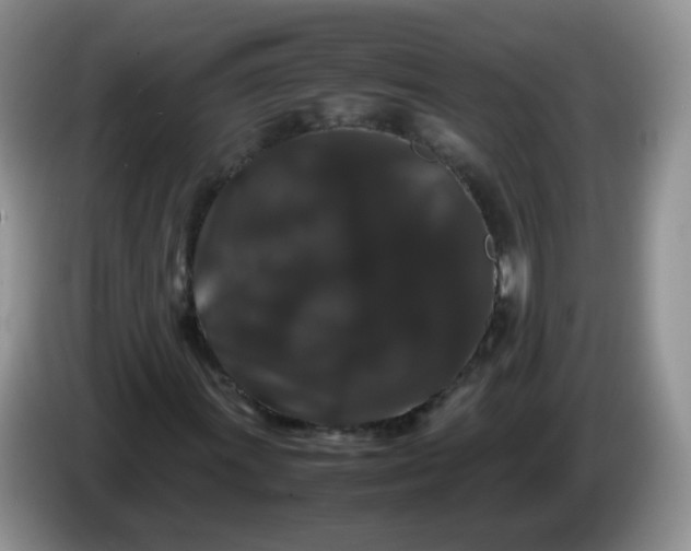X0000086261011200704122006
