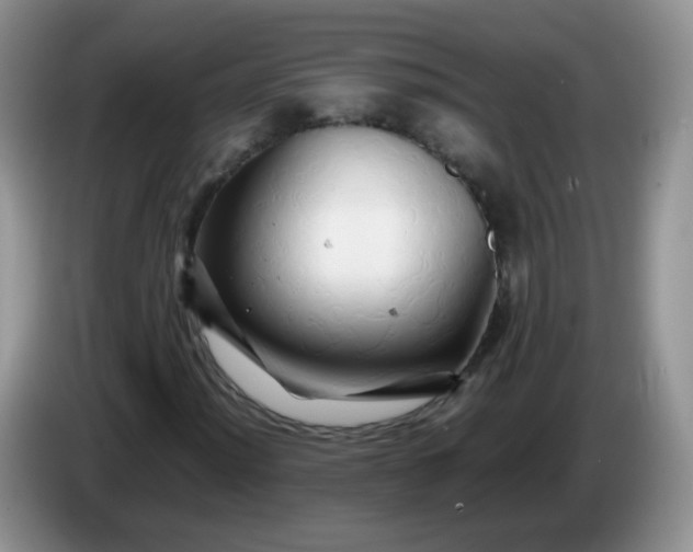 X0000086261012200704122006