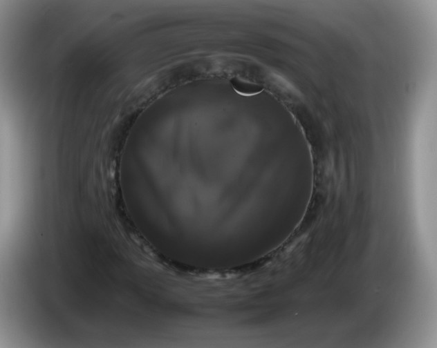 X0000086261013200704122006