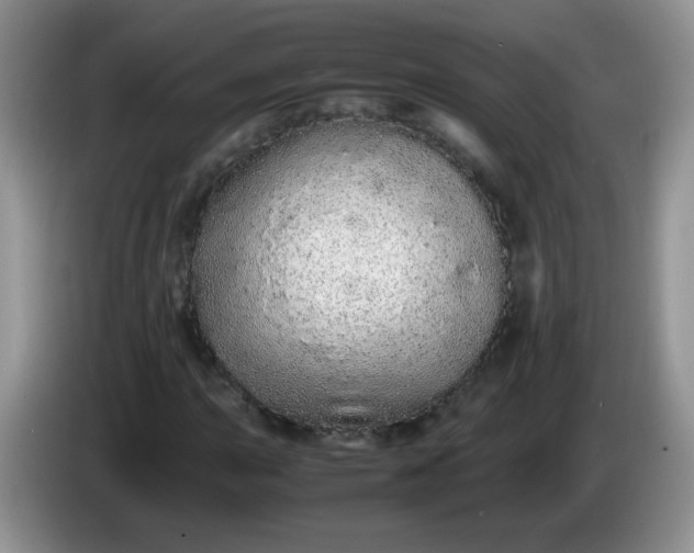 X0000086261015200704122006