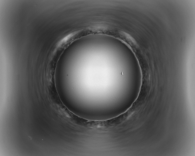 X0000086261016200704122006