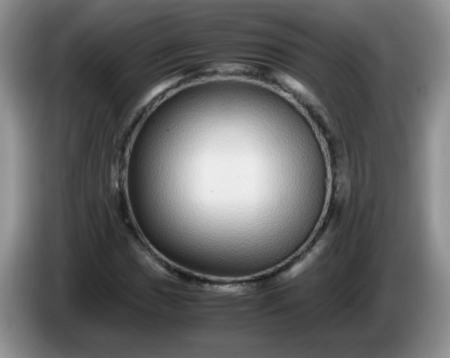 X0000086261017200704122006