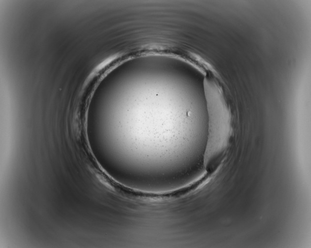 X0000086261018200704122006