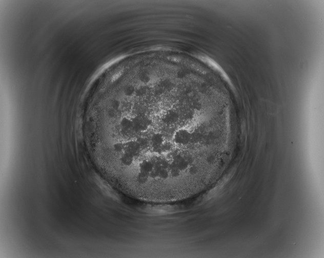 X0000086261019200704122006