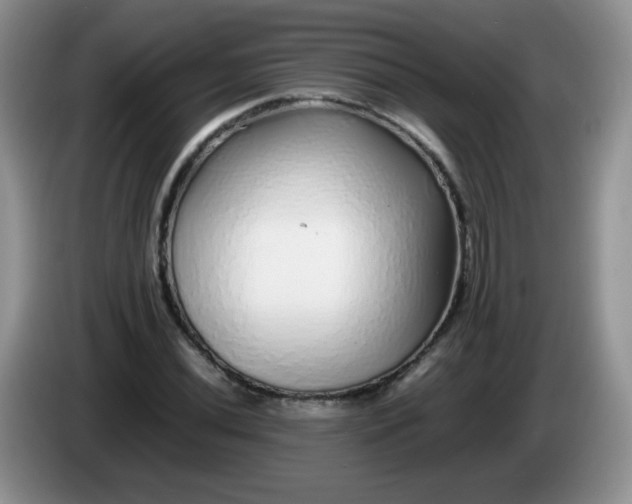 X0000086261020200704122006