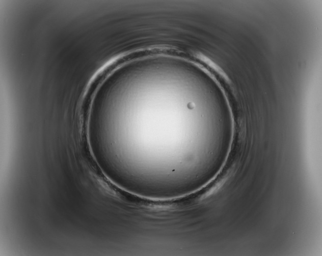X0000086261021200704122006