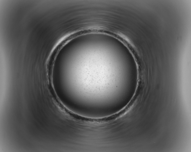 X0000086261022200704122006