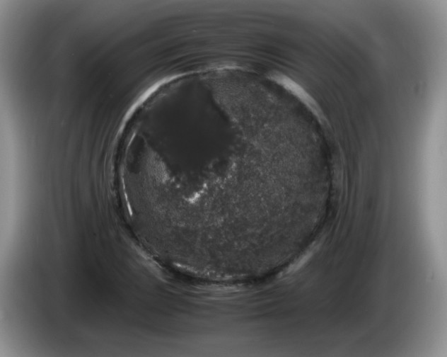 X0000086261023200704122006