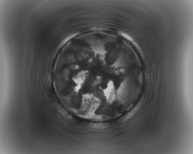 X0000086261025200704122006