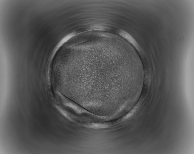 X0000086261026200704122006