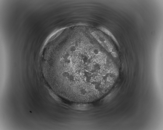 X0000086261027200704122006